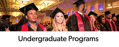 Undergraduate Programs